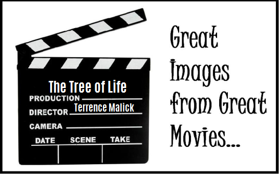 great-images-tree of life